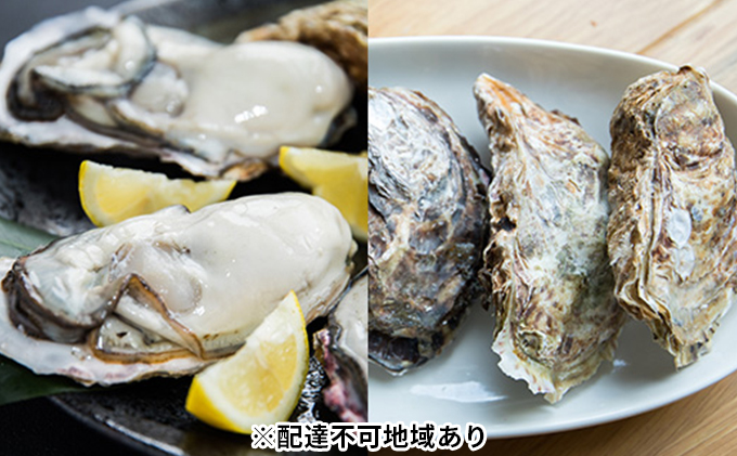 yR˓szy 2026Ns\ { y ނg 500g kt8  R ˓s Y  JL V[t[h 