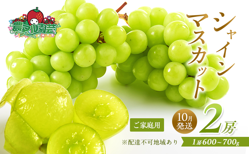 �y���R���Ԕ֎s�z�Ԃǂ� 2026�N ��s�\�� ���ƒ�p �V���C�� �}�X�J�b�g 2�[ 1�[600g�`700g 10�������� �u�h�E ���� �t���[�c �ʕ� ���R �Ԕ֎s�Y �_�}�����| ��������_�� �ʕ��� �������� �W���[�V�[ ��i�ȊÂ�