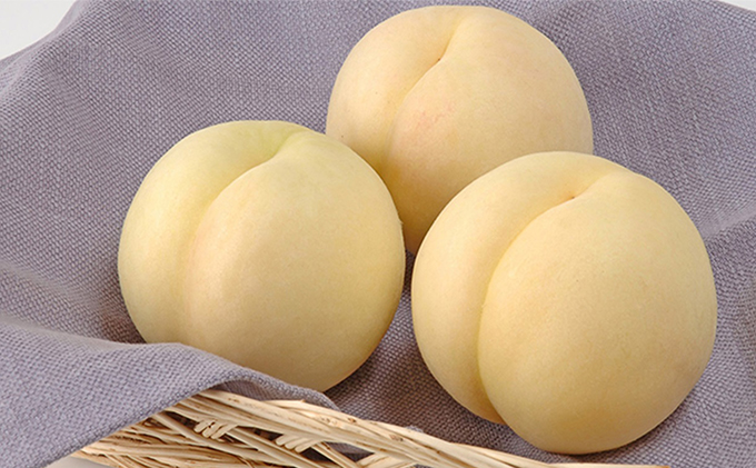 桃 2026年 先行予約 岡山の 白桃 大玉3玉（晩生種）（1玉約300g） もも モモ 岡山県産 国産 フルーツ 果物 ギフト