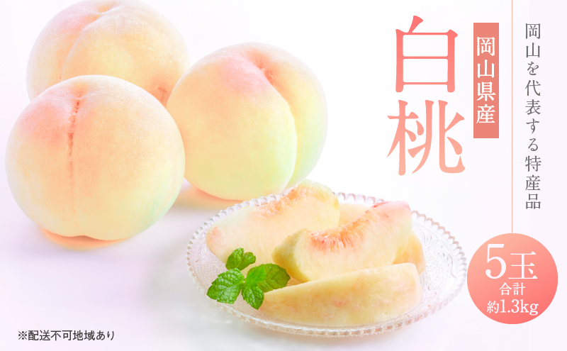 yRz 2026N s\  5 v1.3kg   RY Y t[c ʕ Mtg