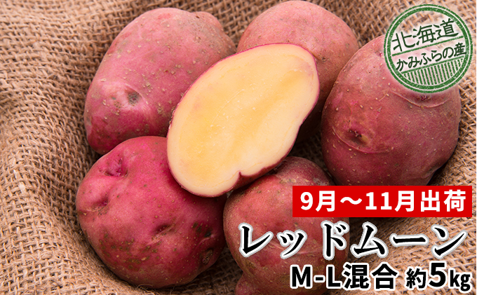 じゃがいも【レッドムーン】約5kg（M～L混合）≪北海道上富良野