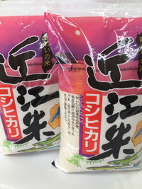 【新米】【7年産】近江米こしひかり【10kg（5kg×2袋）】【T020W2】