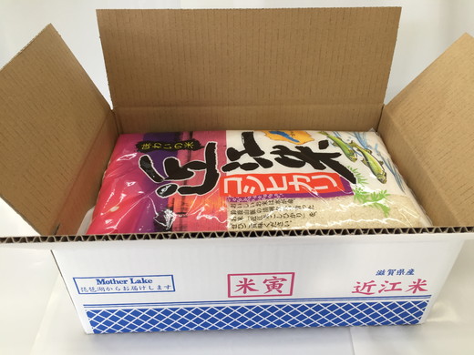 【新米】【7年産】近江米こしひかり【10kg（5kg×2袋）】【T020W2】