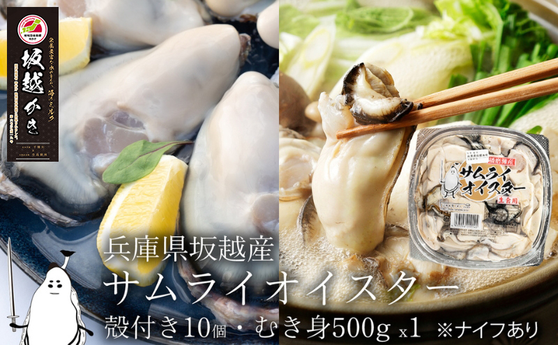 牡蠣 生食 坂越かき 殻付き33個【ナイフなし】サムライ