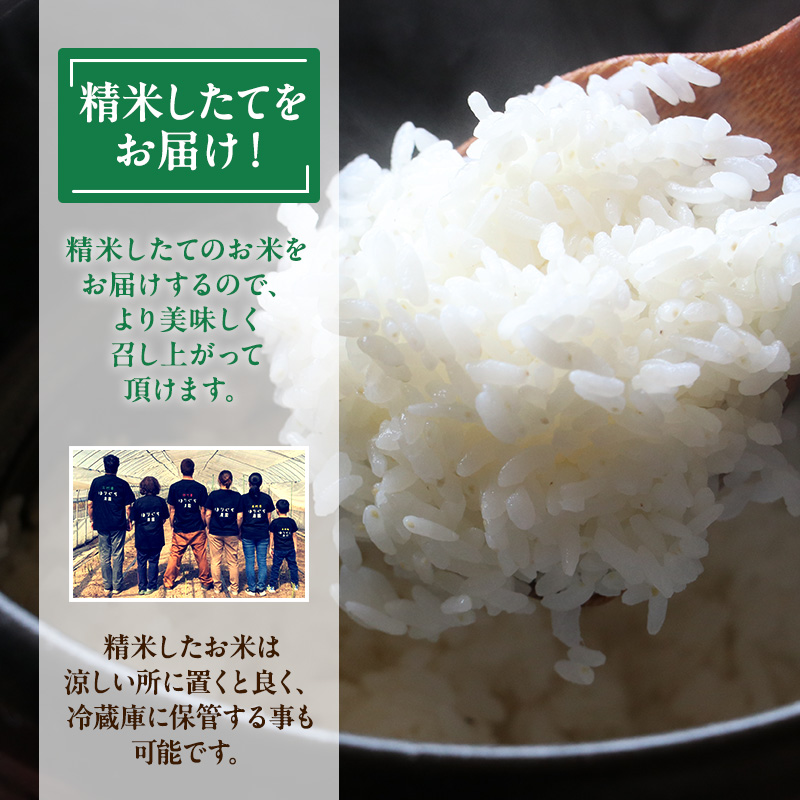 【12ヶ月定期便】北海道赤平産ゆめぴりか5kg 令和8年産 先行予約 先行受付 精米したて直送 米 白米 精米 定期便 北海道 赤平市
