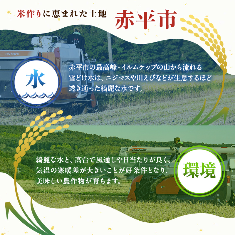 北海道赤平市のふるさと納税 北海道赤平産 ゆめぴりか 5kg 令和7年産 先行予約 先行受付 精米したて直送 米 白米 精米 北海道 赤平市