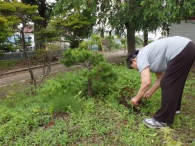 【宮城県岩沼市】【岩沼市】空き家管理サービスB(見回り・簡易作業(ゴミ拾い、除草作業)・報告)約5時間 チケット