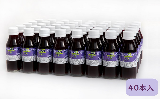 信州小諸産ブルーベリージュース100ml×40本セット 果汁飲料 野菜飲料