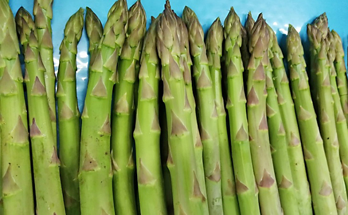 期間限定！極太アスパラ 【さぬきのめざめ1kg】  3Lサイズ 野菜セット 野菜 アスパラガス 