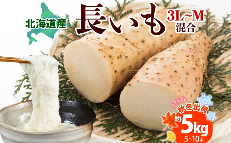 北海道産 長いも 秋冬出荷 約5kg 2025年11月中旬～2026年3月下旬お届け 長芋 ながいも とろろ 農作物 野菜 新鮮 根菜 新物 山かけ 産地直送 お取り寄せ 送料無料 冷蔵 北海道 洞爺湖町