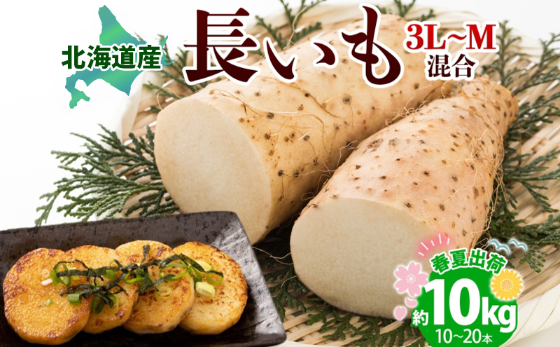 ykCΒzkCY  tďo 10kg 2026N5{`6{͂  Ȃ Ƃ _앨  VN   R Yn   ① kC Β