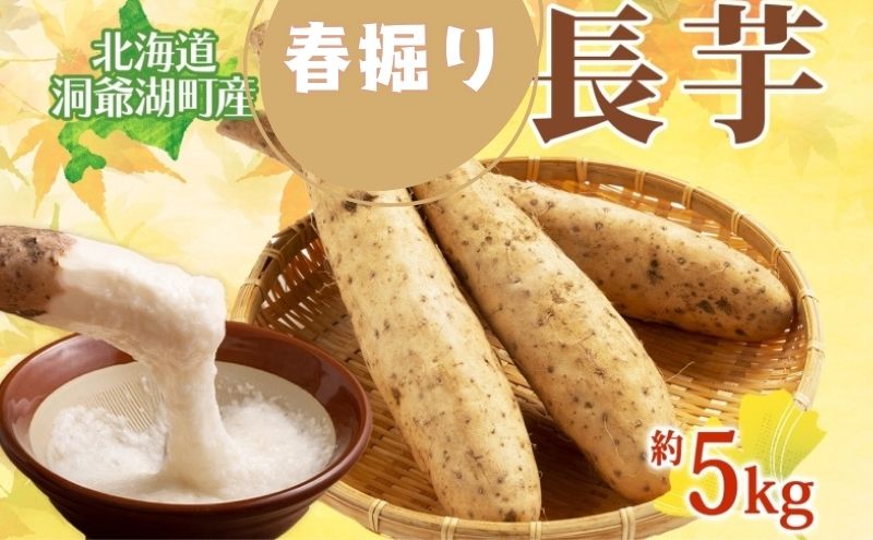 北海道 洞爺湖町産 春掘り 長芋 約5kg 先行受付 4月中旬～下旬にお届け 長いも ながいも 芋 山芋 山うなぎ とろろ ステーキ 千切り 万能 旬 秋 野菜 根菜 常温 塩田農園 洞爺湖町 