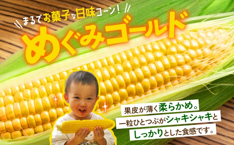 新鮮　北海道産初物　春とうもろこし2Lサイズ　20kg　ハウス栽培 ふるさと納税 「【 2025年 先行予約 】 北海道産 とうもろこし