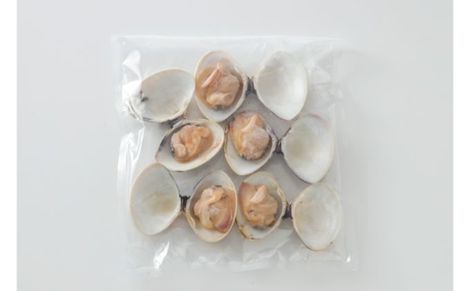 千葉県九十九里産 焼きはまぐり 800g 魚介類 貝類 魚貝類 はまぐり 蛤 