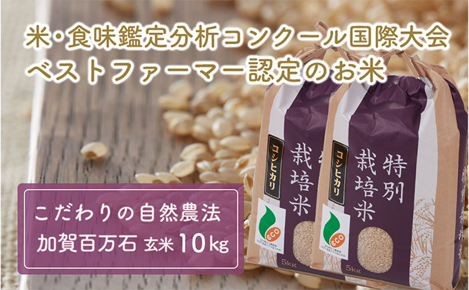  【令和7年度産】加賀百万石特別栽培米コシヒカリ玄米10kg 