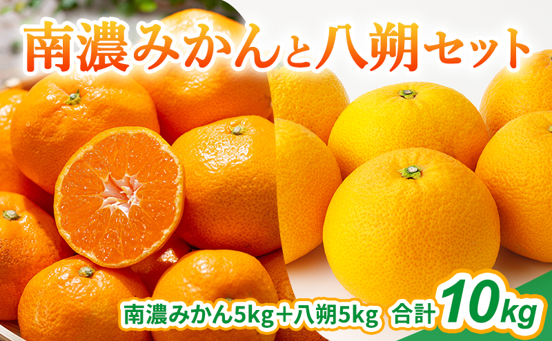 農薬不使用八朔みかん　挿し木　3 本 農薬不使用美味しいみかんはっさく 農薬不使用八朔みかん 挿し木 3 本 農薬不使用美味しいみかんはっさく