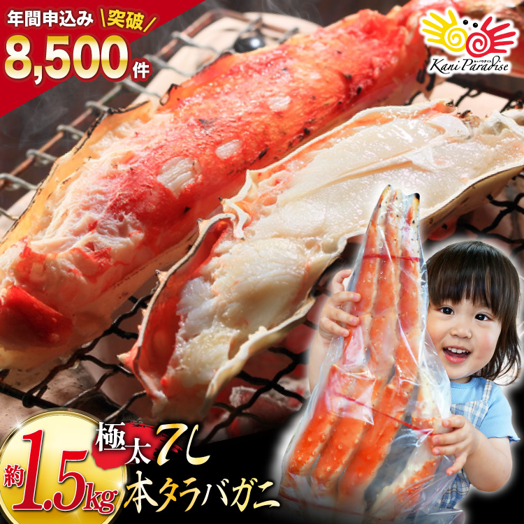 本 タラバガニ 脚 ボイル済 約1.5kg 極太7Lサイズ [カネダイ