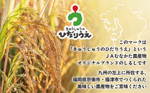 福岡県福津市のふるさと納税 【令和7年産米】【2025年11月より順次発送】JAよりお届け！「ひのひかり」 5kg（5kg×1袋）[G2314a]