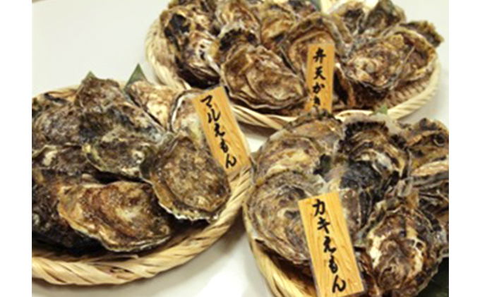 厚岸町の3種の牡蠣を食べつくし 4ヶ月 定期便 牡蠣 カキ 食べ比べ セット 魚貝類 生牡蠣 かき 