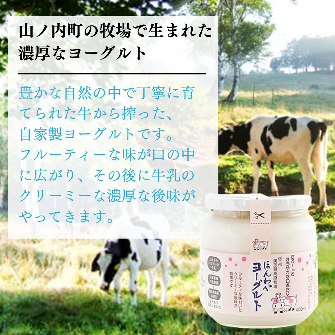 志賀高原で育った ほんわかヨーグルト900ml 3本セット 乳製品 乳酸菌 