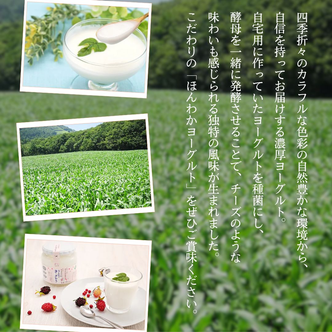 志賀高原で育った ほんわかヨーグルト400ml 4本セット 乳製品 乳酸菌 