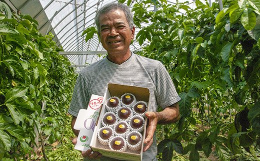 沖縄県南風原町のふるさと納税 【2026年発送】津嘉山パッションフルーツ　約1kg