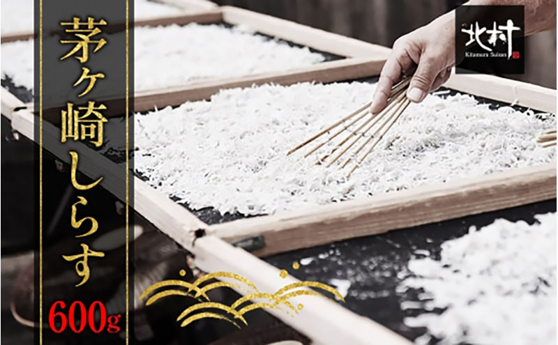 y_ސ쌧sz 炷  VN 600g Ԍ D 䥂ŏグ ł V   Ó ͘p l  H  炷 ||  C  ؂ Z ӂ Ⓚ _ސ쌧 Ps