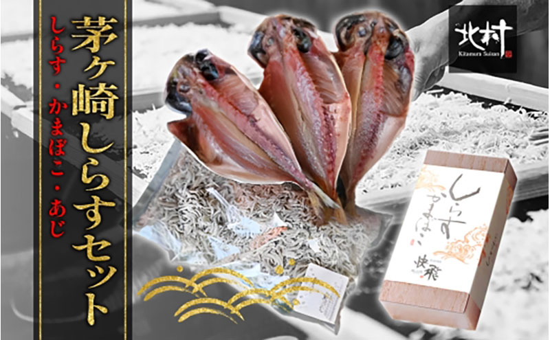 y_ސ쌧sz 炷 Zbg  VN 炷 300g 炷 ܂ڂ 1{  3 Ƃꂽ Ԍ D 䥂ŏグ ł V   Ó ͘p l  H 炷 ||  C  ؂ ܂  Ⓚ _ސ쌧 Ps