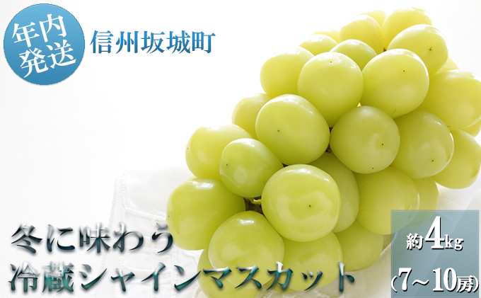 【年内お届け】シャインマスカット 冬に味わう！冷蔵貯蔵 約4kg (7～10房) 長野 信州 坂城 冷蔵シャイン 産地直送 宮原ぶどう園 年内発送 ブドウ 葡萄 種なし フルーツ 果物 