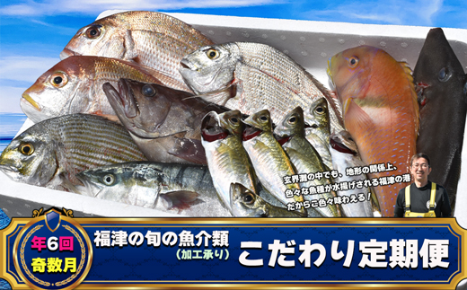福岡県福津市のふるさと納税 【年6回奇数月】福津の旬の魚介類こだわり定期便【加工承り】【随時開始】[G7018]