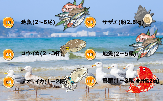 福岡県福津市のふるさと納税 【年6回奇数月】福津の旬の魚介類こだわり定期便【加工承り】【随時開始】[G7018]