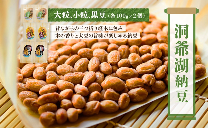 北海道 手造り 納豆 10種 計14個 国産 洞爺湖納豆 経木納豆 わっぱ納豆 黒千石干し納豆 大粒 小粒 黒豆 大豆 なっとう 詰め合わせ 北海道産 羊蹄食品 送料無料 