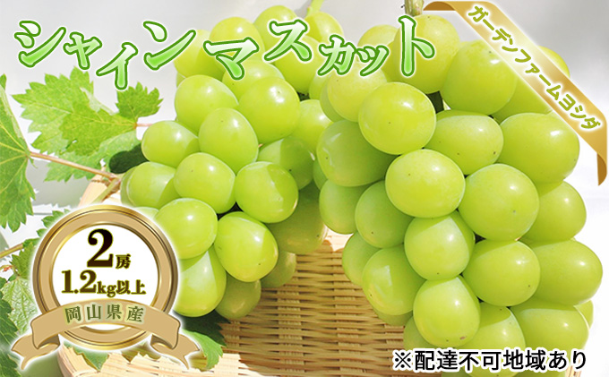 【岡山県里庄町】【2026年先行予約】 ぶどう 岡山県産 シャインマスカット 1.2kg以上(2房)《2026年9月上旬-下旬頃出荷》 葡萄 ブドウ 岡山県産 フルーツ 果物 数量限定 期間限定 岡山 里庄町 ブドウ 果物類