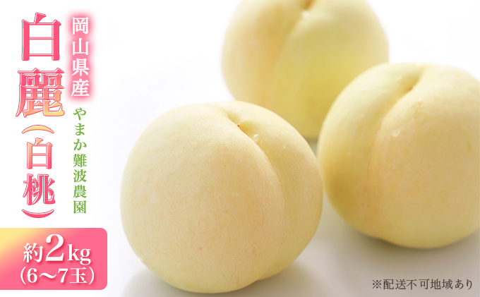【岡山県里庄町】桃 【 2026年 先行予約 】 岡山県産 白麗 ( 白桃 ) 約2kg(6〜7玉) 《2026年8月上旬〜中旬頃出荷》 白桃 岡山 はくとう フルーツ 果物 先行予約 数量限定 期間限定 里庄町 モモ もも