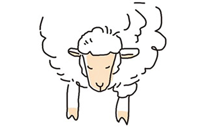 【3ヶ月連続お届け】ぺこ・ジェラ～北海道赤平産羊乳アイスクリーム～100ml×6個 お菓子 