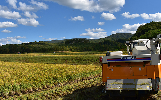 【2025年産米】6ヵ月 定期便 銀山米研究会の無洗米＜ななつぼし＞10kg　ご飯 ライス 白米 和食 炭水化物 主食 おにぎり お弁当 銘柄米 ブランド米 産地直送 [株式会社 松原米穀]
