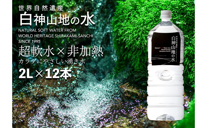 白神山地の水 2L×12本 ナチュラルウォーター 飲料水 軟水 超軟水 非加熱 弱酸性 湧水 湧き水 水 ウォーター ペットボトル 青森県 鰺ヶ沢町 国産 飲料類 ミネラルウォーター 