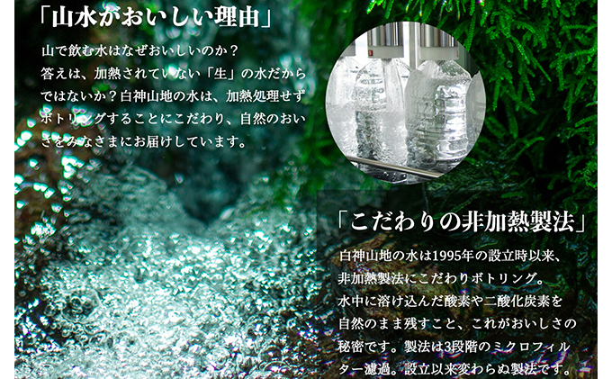 年12回お届け！！ 白神山地の水 2L×12本 定期便 ナチュラルウォーター 飲料水 軟水 超軟水 非加熱 弱酸性 湧水 湧き水 水 お水 ウォーター ペットボトル 青森県 鰺ヶ沢町 国産