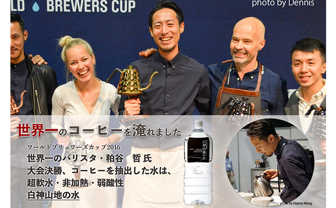 年12回お届け！！ 白神山地の水 2L×12本 定期便 ナチュラルウォーター 飲料水 軟水 超軟水 非加熱 弱酸性 湧水 湧き水 水 お水 ウォーター ペットボトル 青森県 鰺ヶ沢町 国産