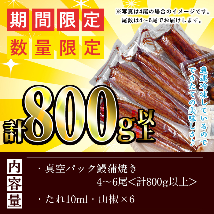 鹿児島県志布志市のふるさと納税 【訳あり・数量限定】復活！不揃いのうなぎ達 計800g以上(鹿児島県産 鰻の蒲焼き) b2-040