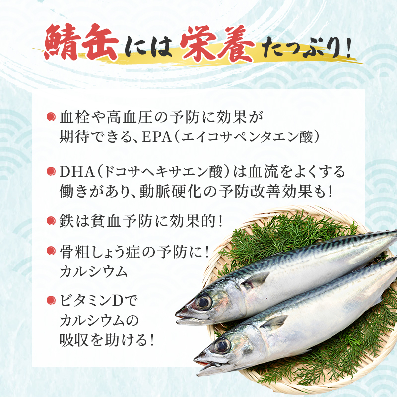 ニッスイ　サバ缶　鯖缶　さば缶　サバの缶詰　サバ水煮缶　水煮　鯖水煮缶　缶詰 SABAさば水煮EOK | 商品情報 | ニッスイ