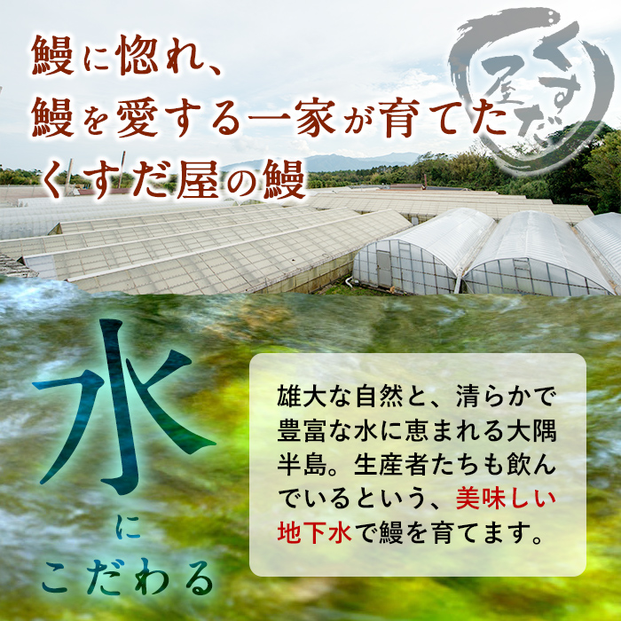 鹿児島県志布志市のふるさと納税 くすだ屋の極上うなぎ 2尾(170g×2)＜計340g以上＞ a6-044