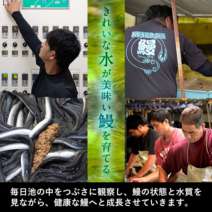 鹿児島県志布志市のふるさと納税 くすだ屋の極上うなぎ 2尾(170g×2)＜計340g以上＞ a6-044