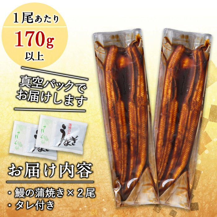 鹿児島県志布志市のふるさと納税 くすだ屋の極上うなぎ 2尾(170g×2)＜計340g以上＞ a6-044