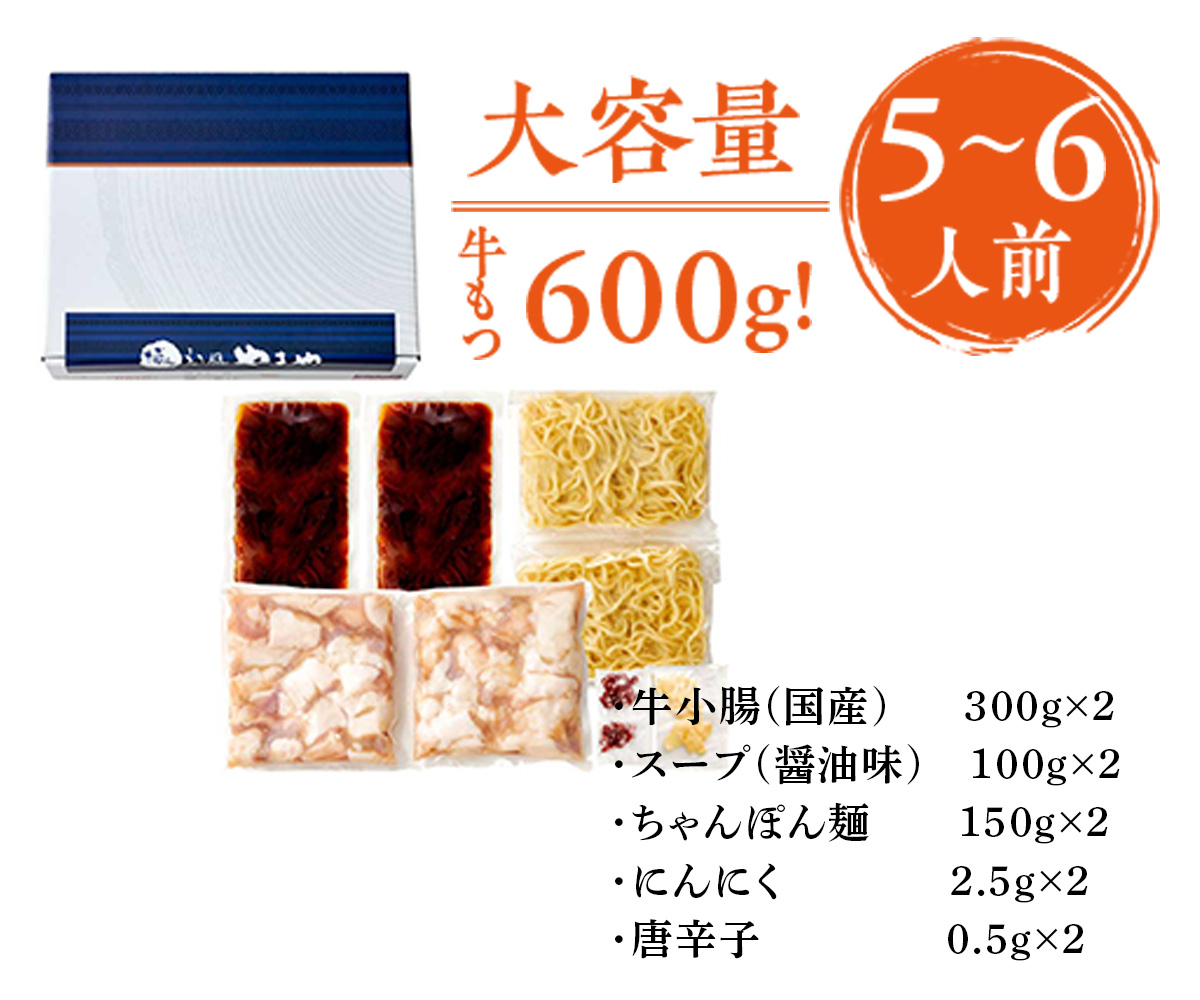 福岡県篠栗町のふるさと納税 もつ鍋セット　牛もつたっぷり600g！大容量5-6人前　博多もつ鍋やまや　国産牛もつ　篠栗町本社　AZ039
