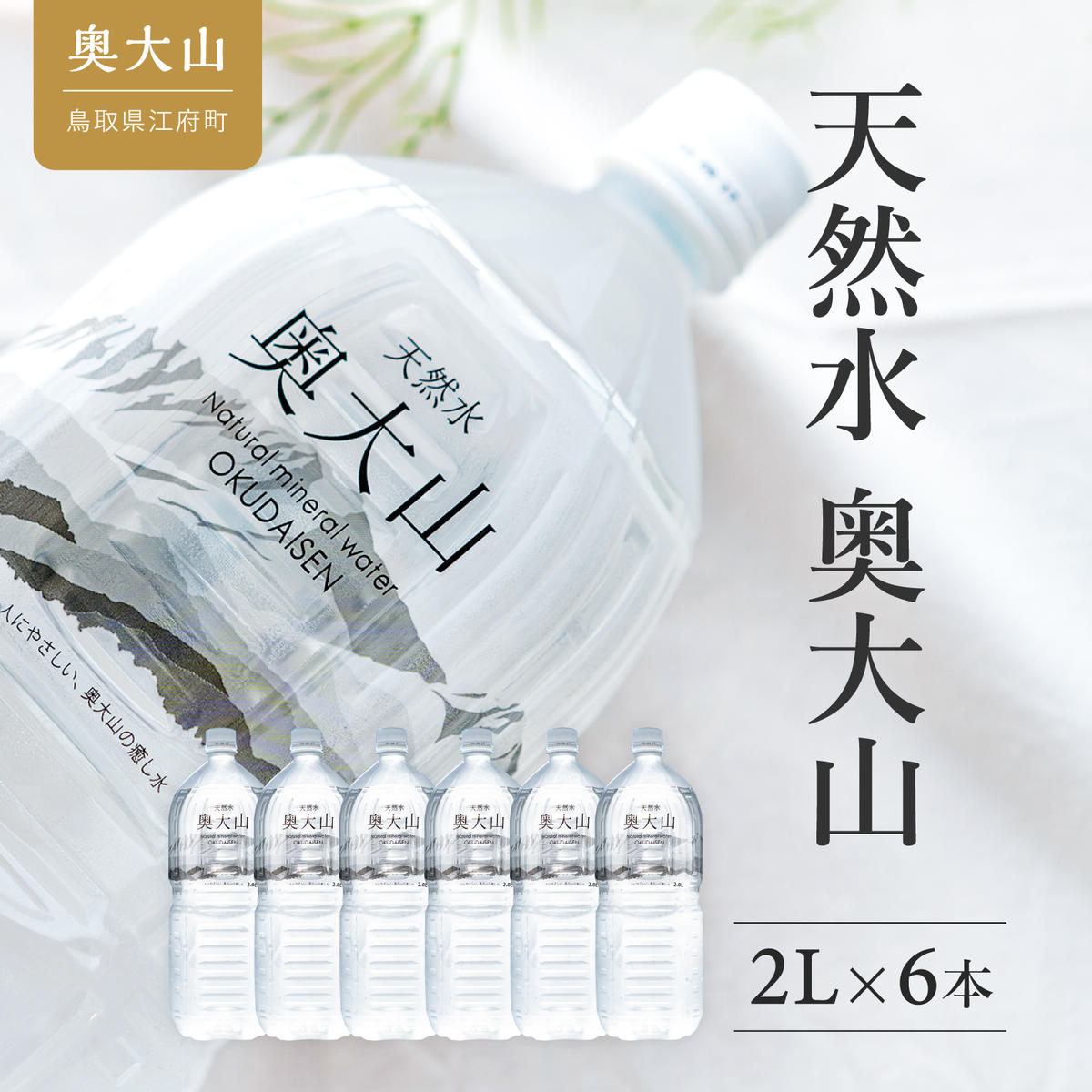 鳥取県江府町のふるさと納税 天然水奥大山 2リットル 1箱(6本入り) ミネラルウォーター 軟水 ペットボトル 2L 水工場ヨーデル みず PET 0532