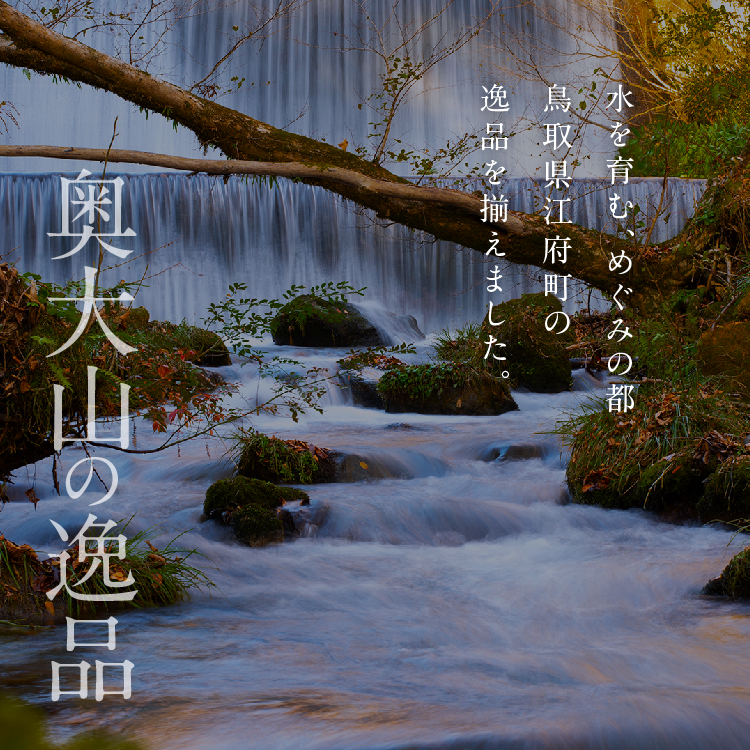 鳥取県江府町のふるさと納税 天然水奥大山 2リットル 1箱(6本入り) ミネラルウォーター 軟水 ペットボトル 2L 水工場ヨーデル みず PET 0532