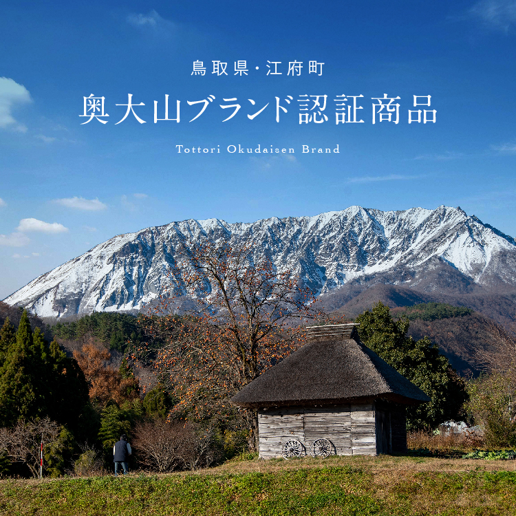鳥取県江府町のふるさと納税 天然水奥大山 2リットル 1箱(6本入り) ミネラルウォーター 軟水 ペットボトル 2L 水工場ヨーデル みず PET 0532