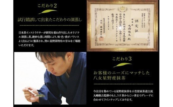 八女茶 緑茶 茶葉 星野茶 詰合せ 星乃絆 80g×3種 お茶 