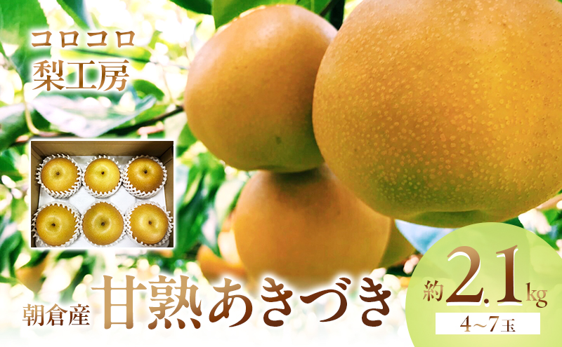 福岡県朝倉市のふるさと納税 梨 あきづき まるで食べる梨ジュース！！甘熟 あきづき梨 約2.1kg 4～7玉入 配送不可 離島 ナシ 果物 フルーツ 先行予約